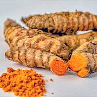 Turmeric Rhizome